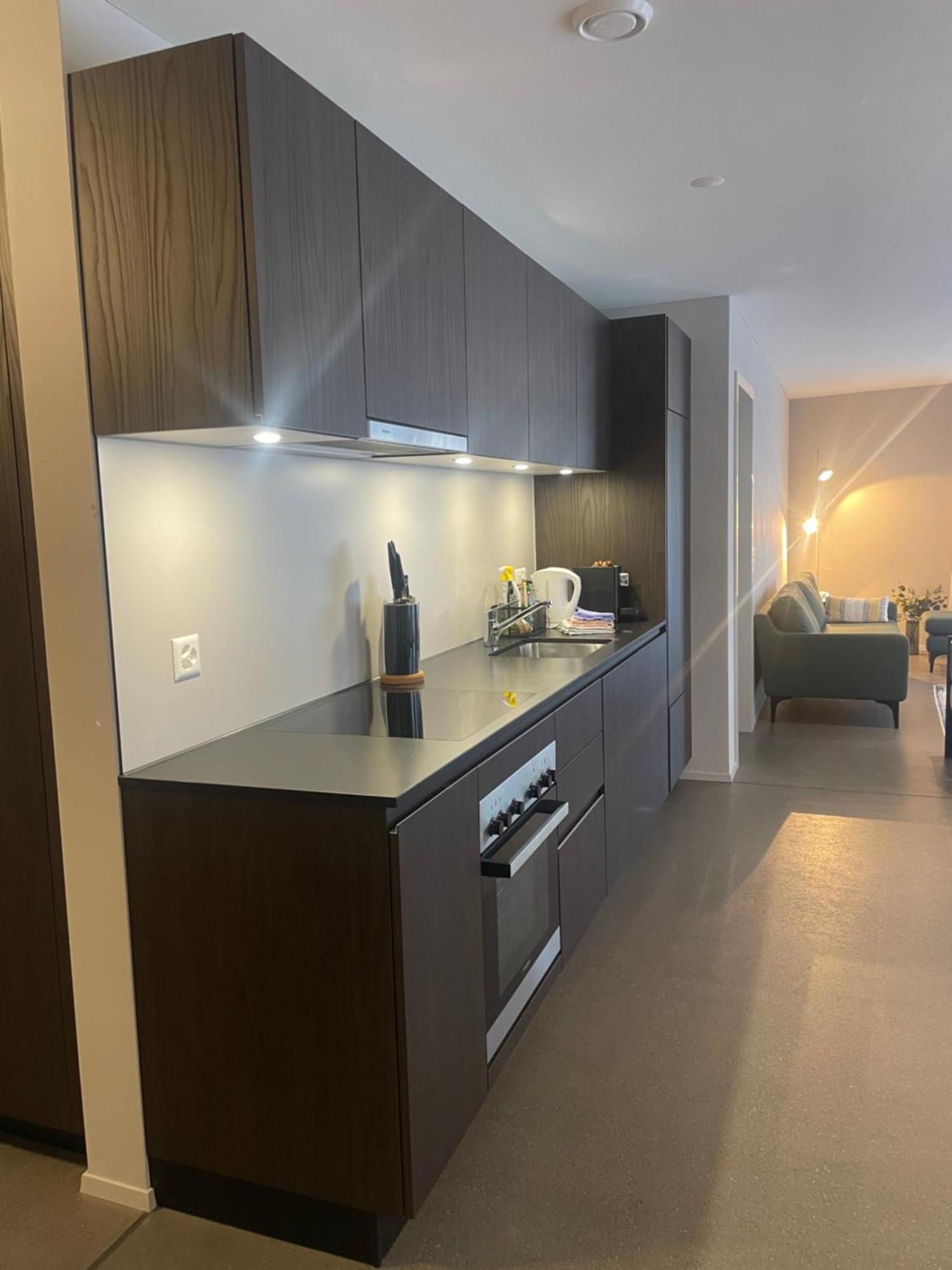 Modern City Apartments 因特拉肯 外观 照片